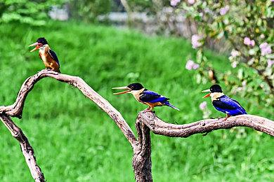 三大PC平台喜加一！《洞窟物语：秘密圣诞老人》免费领