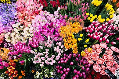 销量不理想 《星球大战：亡命之徒》团队承诺会继续改进